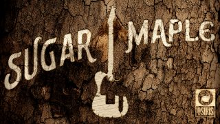 Maple tree bark crust