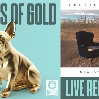 Things of Gold Live - Culcha Vulcha Reaction!